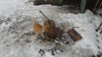 Фото из отзыва участника