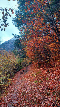 Горный лагерь в Дигории (Северная Осетия)