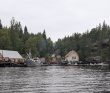 Сплав по реке Кереть и Белое море