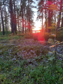 Тур на каяках (байдарках) по фортам и островам Выборгского залива 2-5 дней (с лодкой)