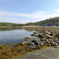 Сплав по реке Кереть и Белое море