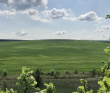 Пеший поход вдоль берегов Красивой Мечи: Тульская Швейцария