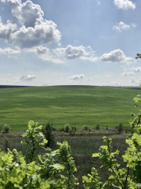Пеший поход вдоль берегов Красивой Мечи: Тульская Швейцария