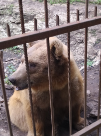 Горный лагерь в Адыгее