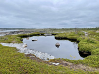 Сплав по реке Кереть и Белое море