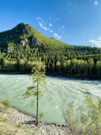Сплав по реке Катунь
