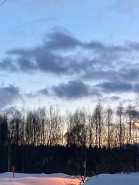 Меж двух усадеб: от Абрамцево до Мураново (пеший поход)