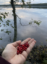 Озеро Силы, Рускеала и Рускеальский экспресс