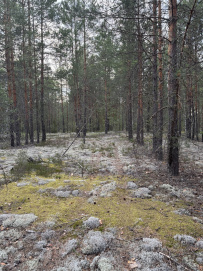 В дебри Нижегородской тайги. Сплав по реке Керженец