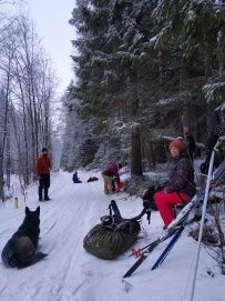 Новый год в Кенозерье (лыжный)