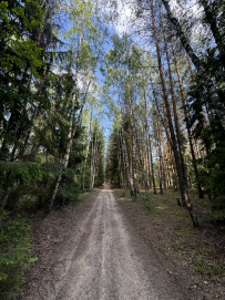 Сплав по реке Киржач на байдарках с баней на берегу