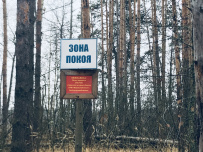 Красоты Мещёры с ночёвкой в тёплом доме (пеший поход)