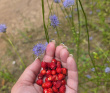 Семейный лагерь на Селигере—Остров Робинзонов