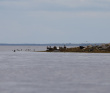 Белое море на морских каяках (байдарках): Карельский берег