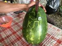 Сказка на морском берегу с детьми