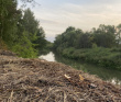  Сплав по реке Киржач на байдарках с баней на берегу (Московская область)