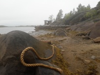 Сплав по реке Воньга и Белое Море на байдарках