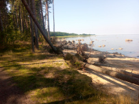 Пеший поход по южному берегу Финского залива