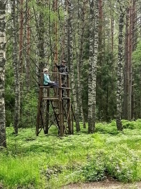 Пеший поход «Лесное путешествие» (Подмосковье)