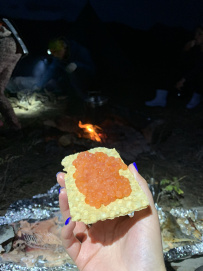 Твоя Камчатка (тихоокеанское кольцо)