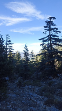 По Ликийской тропе через горы к морю (классический пеший поход)