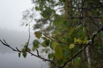 Велопоход по приграничной Финляндии. Линия Салпа