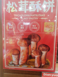 Очарование Юньнани