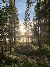 Сплав по рекам Тунтсайоки и Тумча