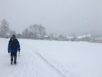 Меж двух усадеб: от Абрамцево до Мураново (пеший поход)