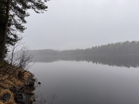 Сплав по реке Лоймола