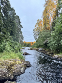 Сплав по реке Шуя