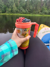 Сплав по реке Шуя