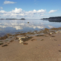 Сплав по реке Кереть и Белое море