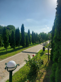 Целебный горный лагерь на Кавказе
