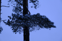 Поход на байдарках по реке Клязьма с теплым шатром, баней и автосопровождением