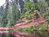 Оредеж — прогулка на байдарках (1 день)