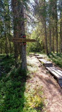 Крыша Карелии (национальный парк Паанаярви)