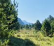 Сплав по реке Катунь