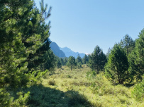 Сплав по реке Катунь