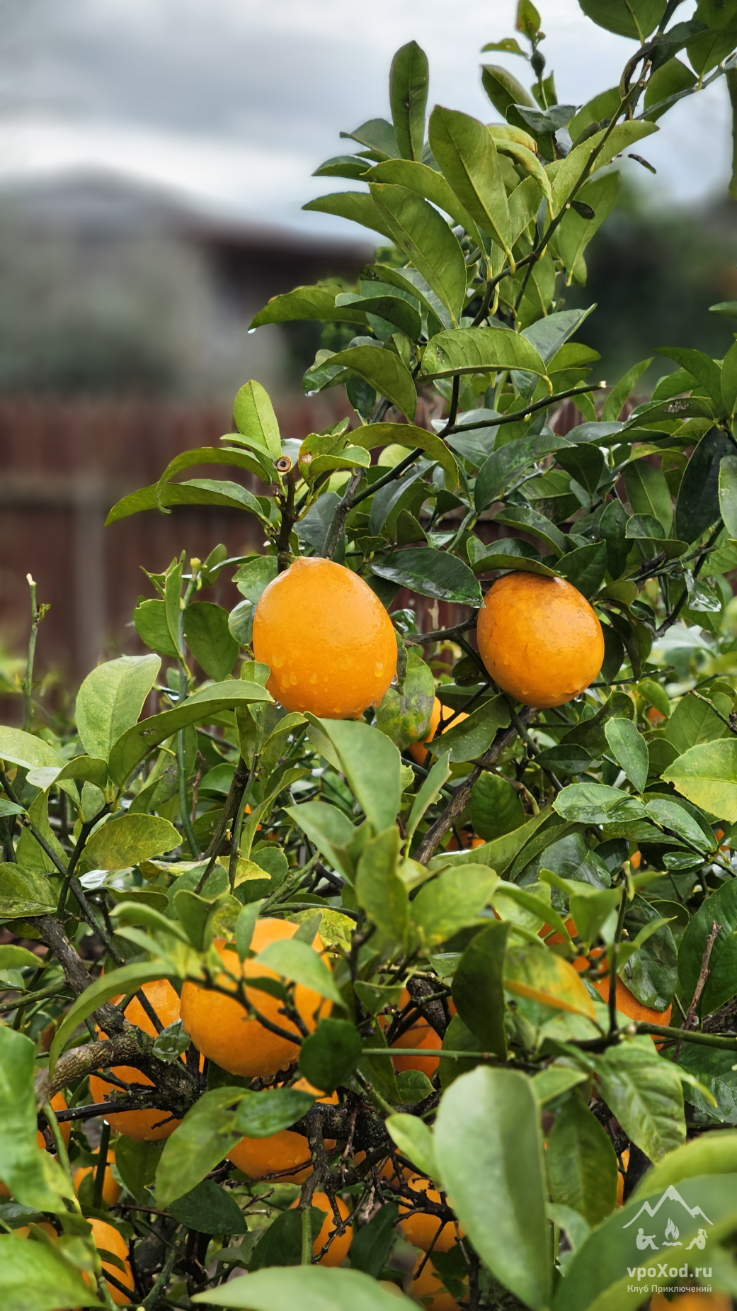 Новогодний мультитур в Абхазии