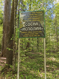 Пеший поход «Край покинутых деревень»
