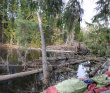 Сплав по реке Поля «Cквозь лес на байдарках»