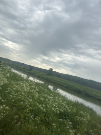 Поход на сапах по реке Угра с ночевкой в палатках