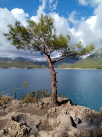 В Сердце Ликийской тропы (Поход вдоль моря, без рюкзаков)