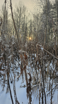Путешествие для самых выносливых: однодневный пеший поход