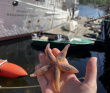 Сплав по реке Кереть и Белое море