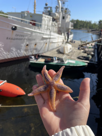Сплав по реке Кереть и Белое море