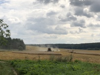Сплав по реке Осетр на байдарках с автосопровождением