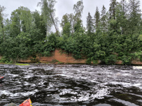 Оредеж — прогулка на байдарках (1 день)