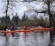 Сплав по реке Поля «Cквозь лес на байдарках»